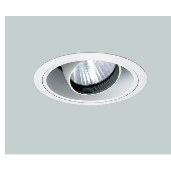 PHILIPS 1x MAX50W/12V-GU5.3 WH Smart Halogen Downlight - DelightLighting