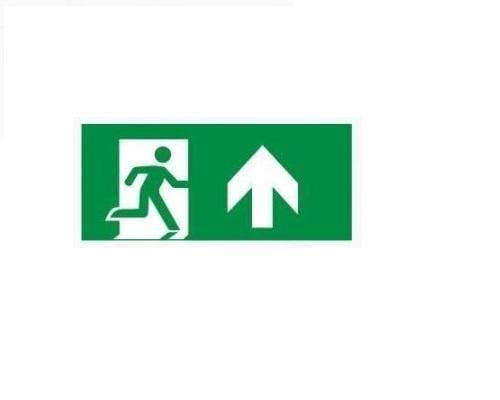 Maxspid EXIT/Emergency Surface / Single / North Maxspid 1W Emergency Exit Light LEDER ES/M/W5100 Surface Mounted