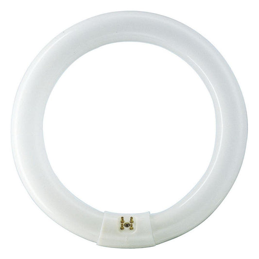 PHILIPS Light Bulb PHILIPS Lifemax TLE Standard Circular T8 Tube x20PCs