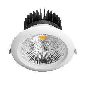 8inch Downlight | DELIGHT OptoElectronics Pte. Ltd