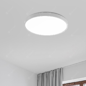 Wall Switch Ceiling Light - DelightLighting