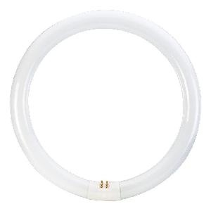 FL Circular T9 | DELIGHT OptoElectronics Pte. Ltd