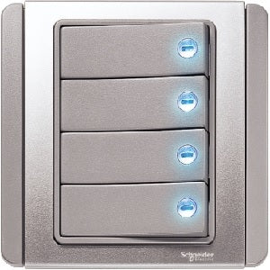 Flush Switches - DelightLighting