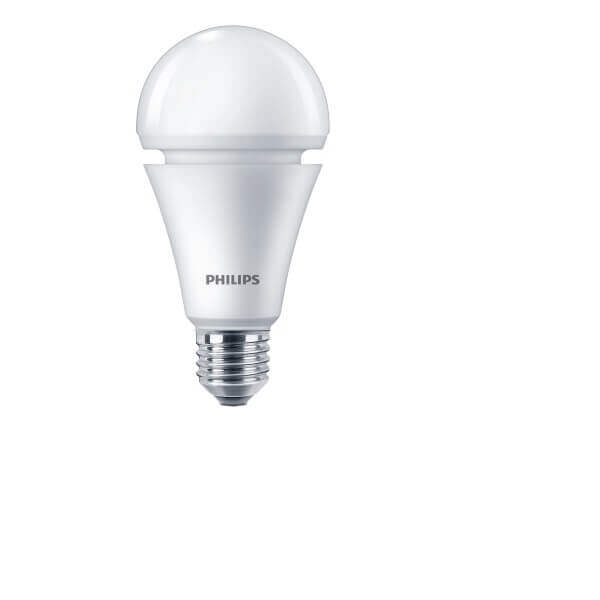 PHILIPS BB E27 6500K 110-240V A67 LEDBulb - DelightLighting